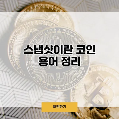 스냅샷이란? 코인 용어 정리