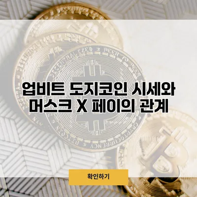 업비트 도지코인 시세와 머스크 X 페이의 관계