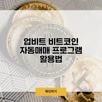 업비트 비트코인 자동매매 프로그램 활용법