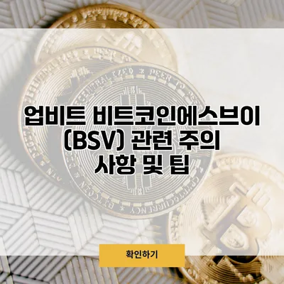 업비트 비트코인에스브이(BSV) 관련 주의 사항 및 팁