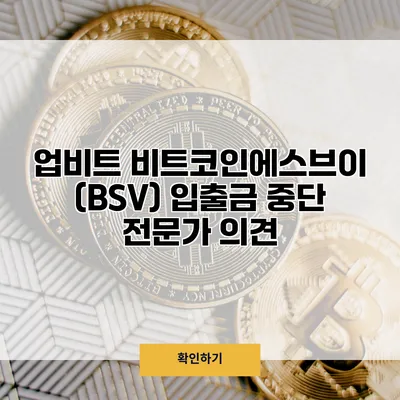 업비트 비트코인에스브이(BSV) 입출금 중단 전문가 의견
