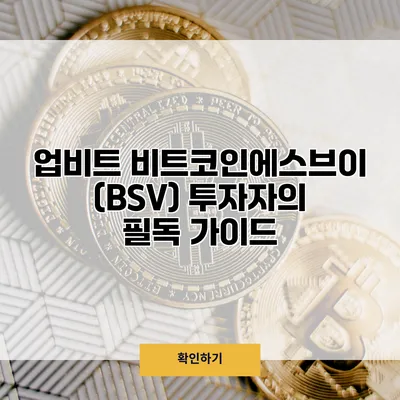 업비트 비트코인에스브이(BSV) 투자자의 필독 가이드