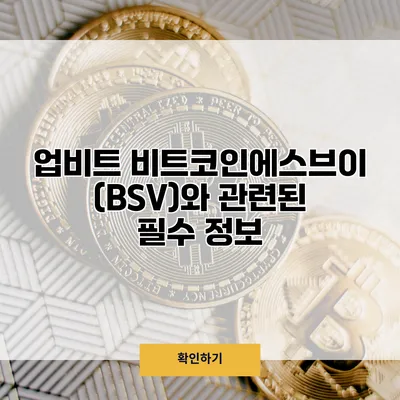 업비트 비트코인에스브이(BSV)와 관련된 필수 정보