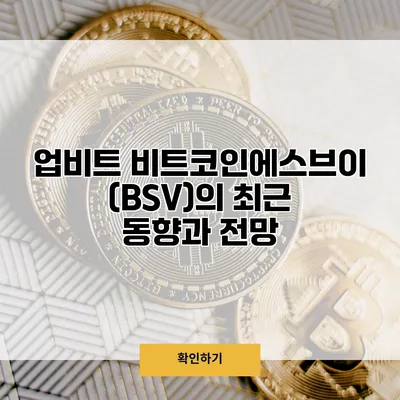 업비트 비트코인에스브이(BSV)의 최근 동향과 전망