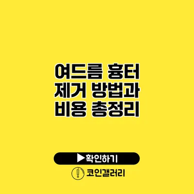 여드름 흉터 제거 방법과 비용 총정리