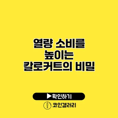 열량 소비를 높이는 칼로커트의 비밀