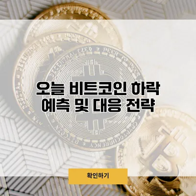 오늘 비트코인 하락 예측 및 대응 전략