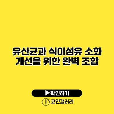 유산균과 식이섬유 소화 개선을 위한 완벽 조합