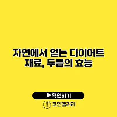 자연에서 얻는 다이어트 재료, 두릅의 효능