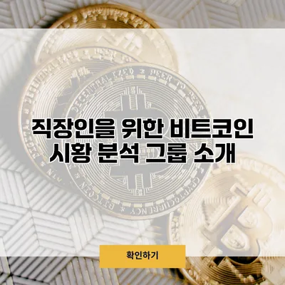 직장인을 위한 비트코인 시황 분석 그룹 소개