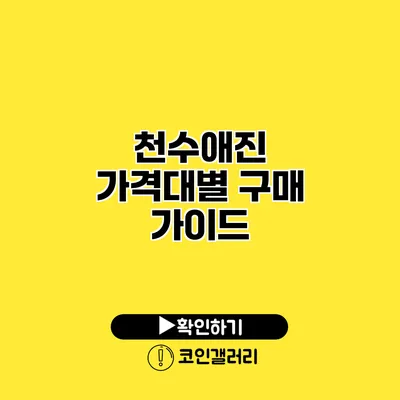 천수애진 가격대별 구매 가이드