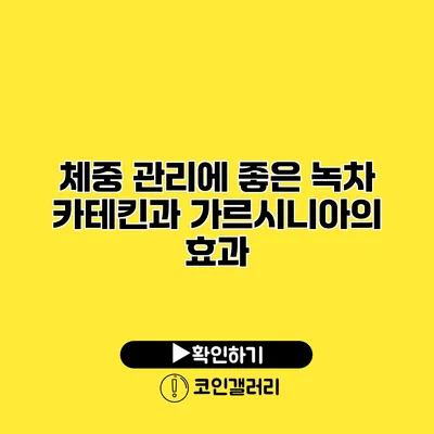 체중 관리에 좋은 녹차 카테킨과 가르시니아의 효과