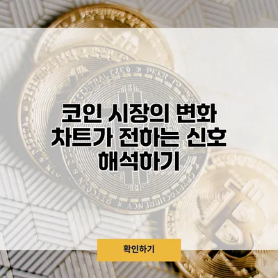 코인 시장의 변화 차트가 전하는 신호 해석하기
