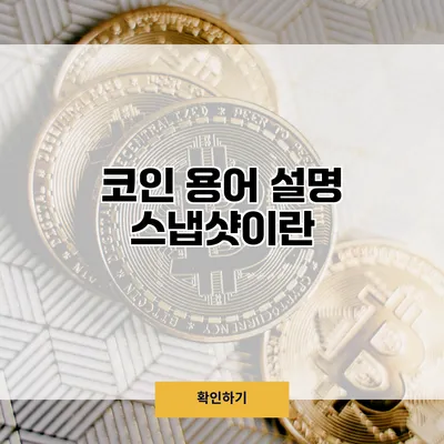 코인 용어 설명 스냅샷이란?