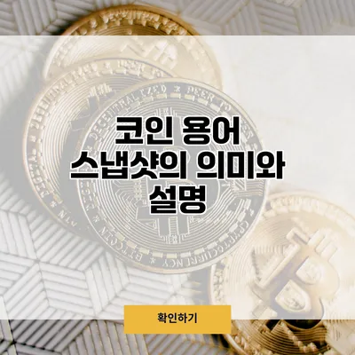 코인 용어 스냅샷의 의미와 설명