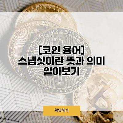 [코인 용어] 스냅샷이란? 뜻과 의미 알아보기