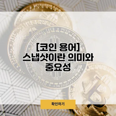 [코인 용어] 스냅샷이란? 의미와 중요성