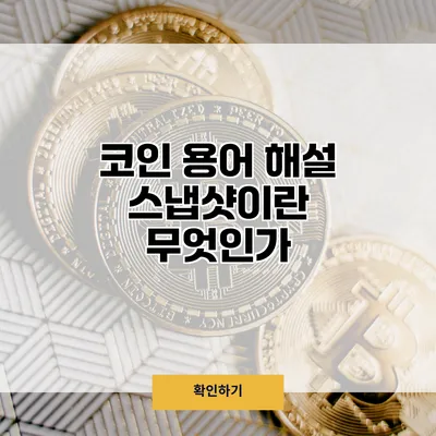 코인 용어 해설 스냅샷이란 무엇인가?