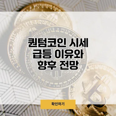 퀀텀코인 시세 급등 이유와 향후 전망