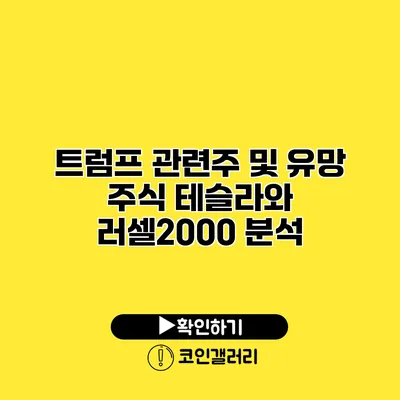 트럼프 관련주 및 유망 주식 테슬라와 러셀2000 분석