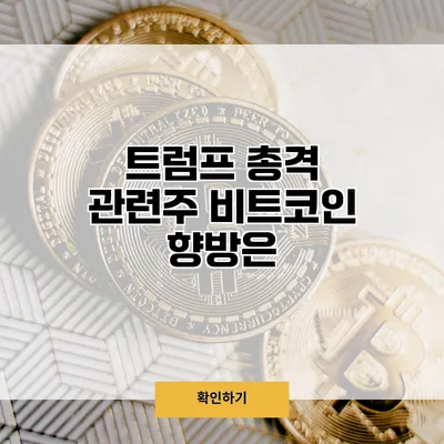트럼프 총격 관련주 비트코인 향방은?