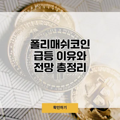 폴리매쉬코인 급등 이유와 전망 총정리