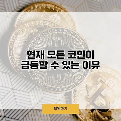 현재 모든 코인이 급등할 수 있는 이유