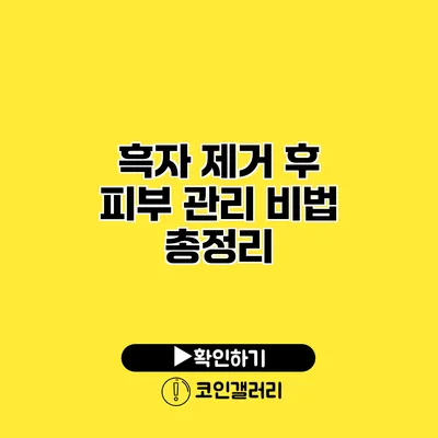 흑자 제거 후 피부 관리 비법 총정리