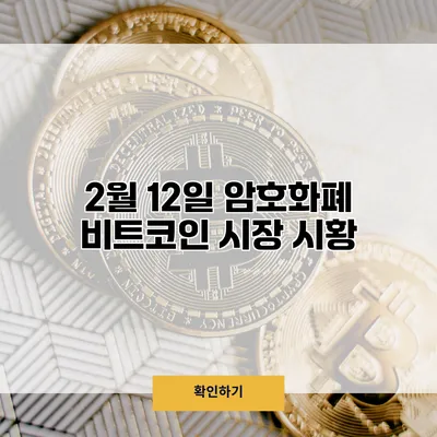 2월 12일 암호화폐 비트코인 시장 시황