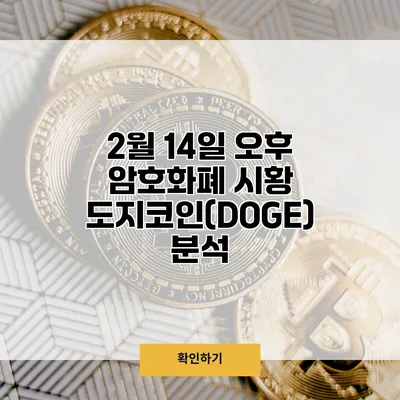2월 14일 오후 암호화폐 시황 도지코인(DOGE) 분석