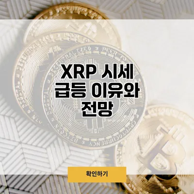 XRP 시세 급등 이유와 전망