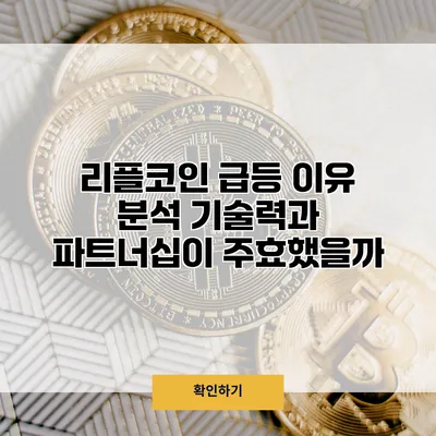 리플코인 급등 이유 분석 기술력과 파트너십이 주효했을까?