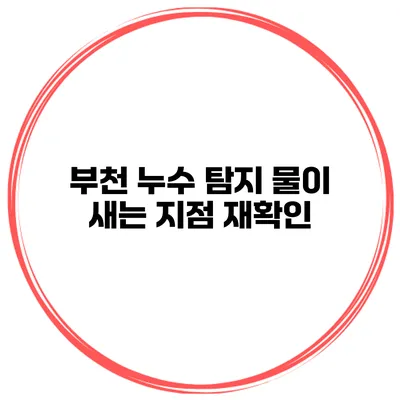 부천 누수 탐지 물이 새는 지점 재확인
