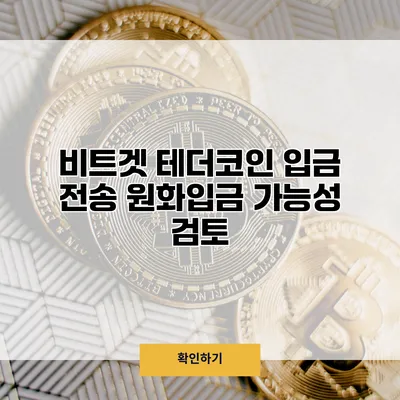 비트겟 테더코인 입금 전송 원화입금 가능성 검토