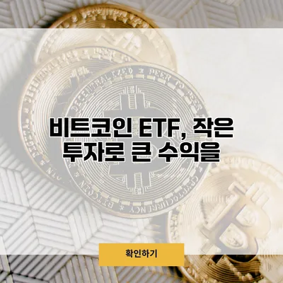 비트코인 ETF, 작은 투자로 큰 수익을?