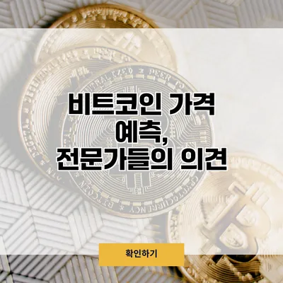 비트코인 가격 예측, 전문가들의 의견