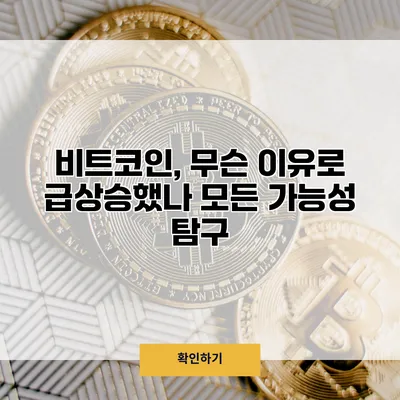 비트코인, 무슨 이유로 급상승했나? 모든 가능성 탐구