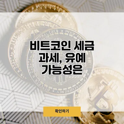 비트코인 세금 과세, 유예 가능성은?