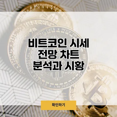비트코인 시세 전망 차트 분석과 시황