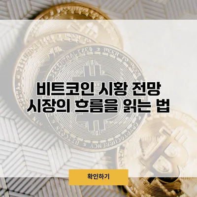 비트코인 시황 전망 시장의 흐름을 읽는 법