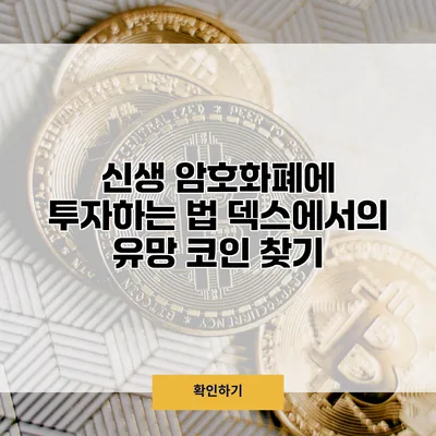 신생 암호화폐에 투자하는 법 덱스에서의 유망 코인 찾기