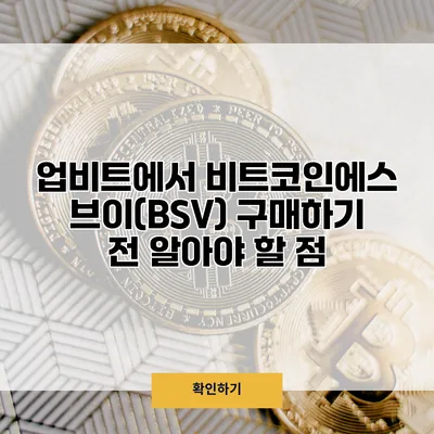 업비트에서 비트코인에스브이(BSV) 구매하기 전 알아야 할 점
